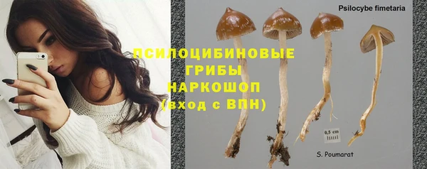 героин Алзамай