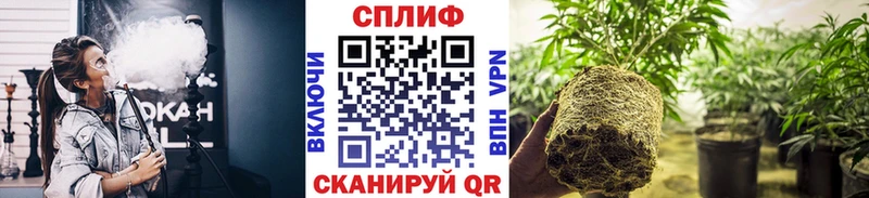 Бошки Шишки LSD WEED гидра ТОР Сольцы